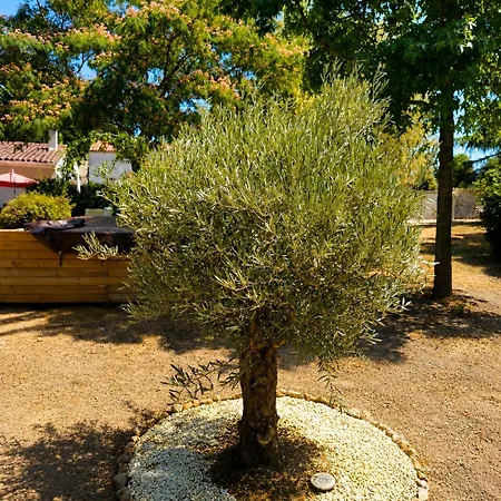 Thouars Rivière Kaëli Lodge Taizé